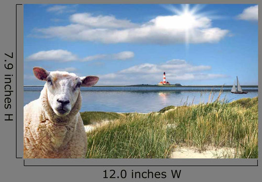 Westerhever North Friesland