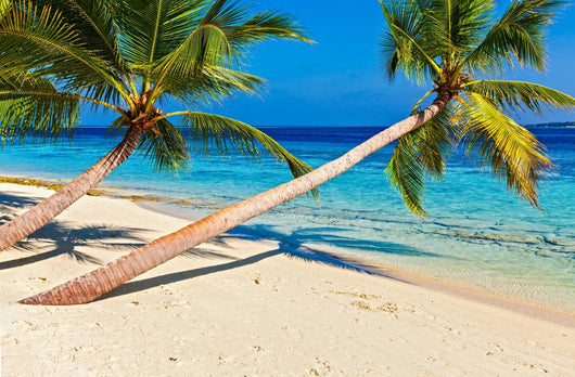Tropical beach Wall Mural