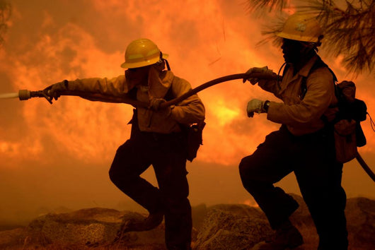 Forestry Firefighters Wall Mural