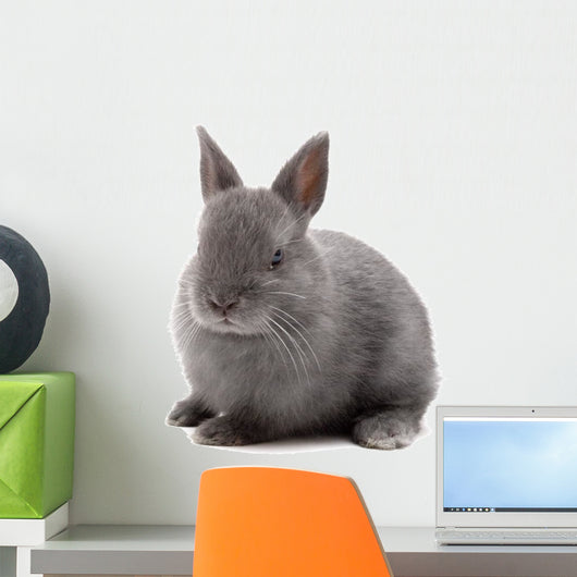Bunny Wall Decal