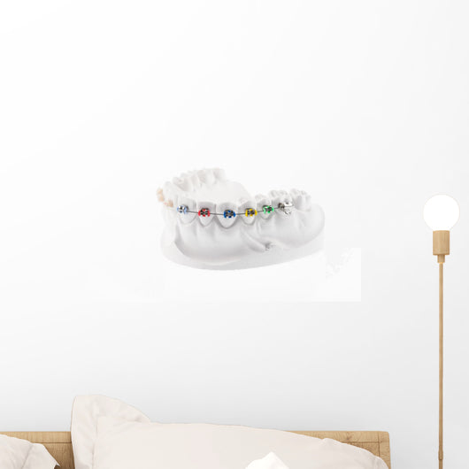 Dental Lower Jaw