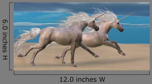 Unicorns