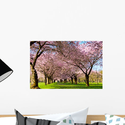 Blossom Dream Japanese Yoshino
