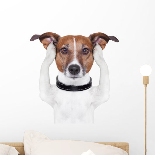Covering Ears Dog