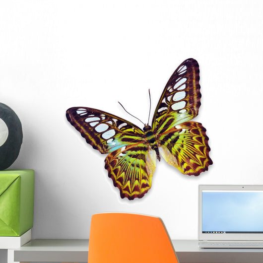 Clipper Butterfly Wall Mural