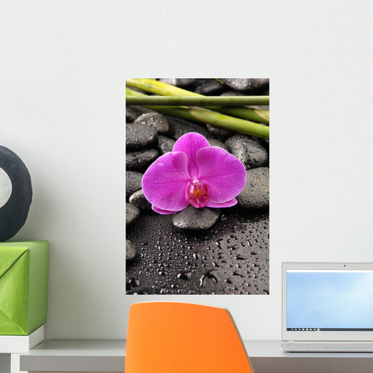 Macro Pink Orchid with