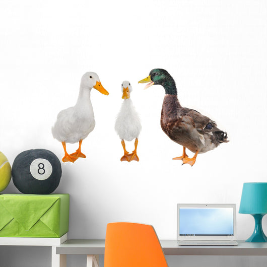 Three Duck Wall Mural