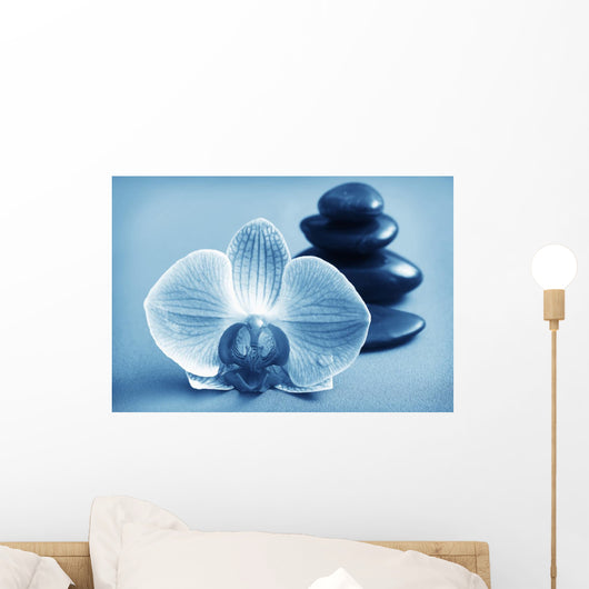 Orchid and Black Basalt Wall Mural