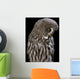 Owl Wall Mural