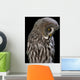 Owl Wall Mural