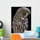 Owl Wall Mural