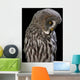Owl Wall Mural