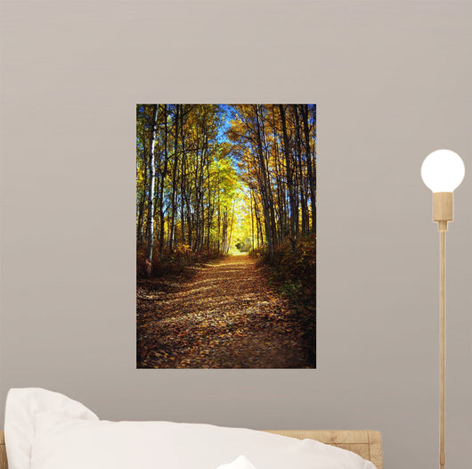 Forest Path In Autumn Wall Mural