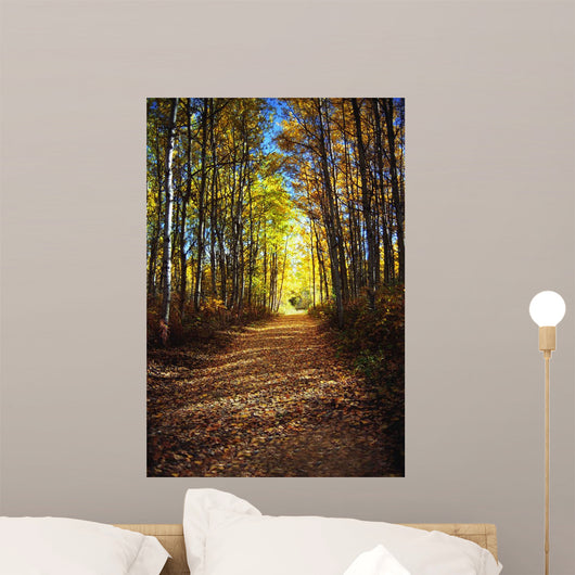 Forest Path In Autumn Wall Mural