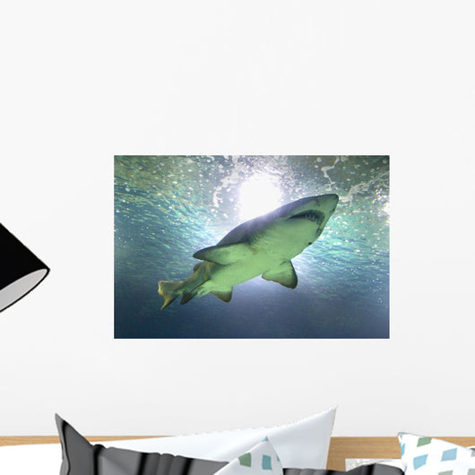 shark Wall Mural