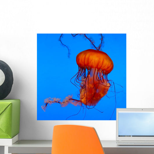 Jellyfish Wall Mural
