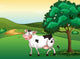 Smiling Cow