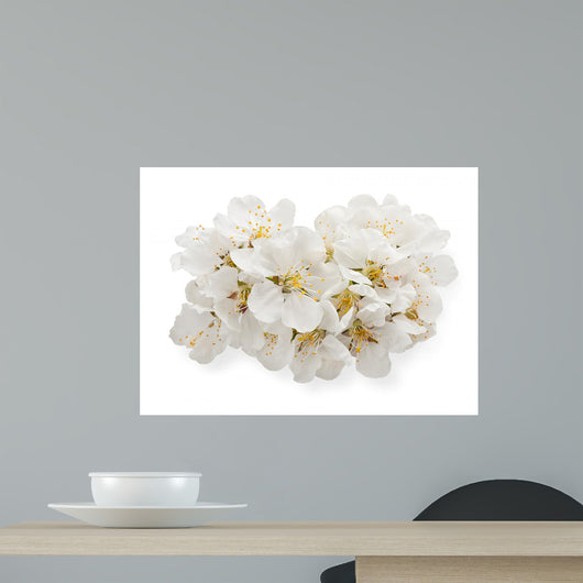 Cherry Blossoms Wall Decal