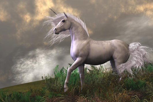 White Unicorn Stallion