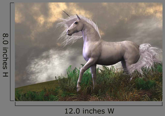 White Unicorn Stallion