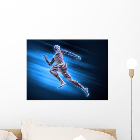 Sport Anatomy Runner
