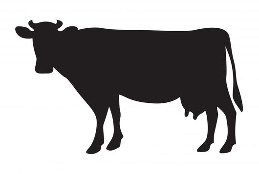Cow Silhouette White Wall Decal