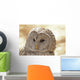 Ural Owl Wall Mural