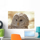 Ural Owl Wall Mural