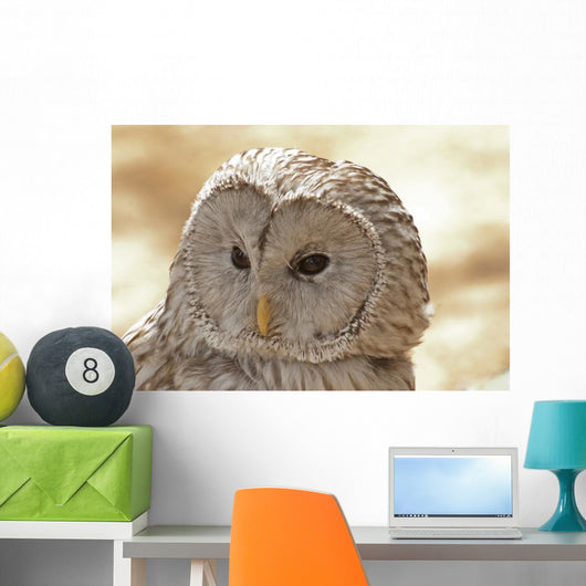 Ural Owl Wall Mural