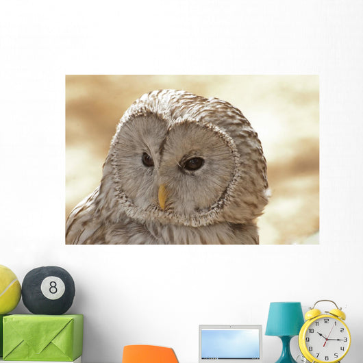 Ural Owl Wall Mural