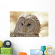 Ural Owl Wall Mural