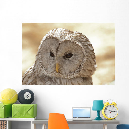 Ural Owl Wall Mural