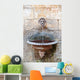 Drinking Fountain