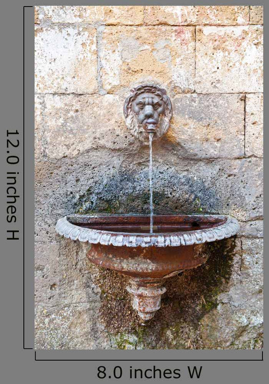 Drinking Fountain
