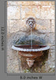 Drinking Fountain