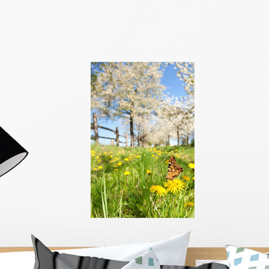 Butterfly Spring Meadow