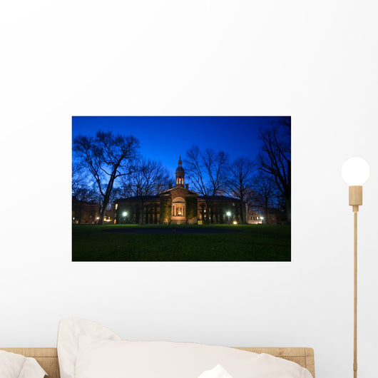 Campus buildings in Princeton University at night Wall Mural