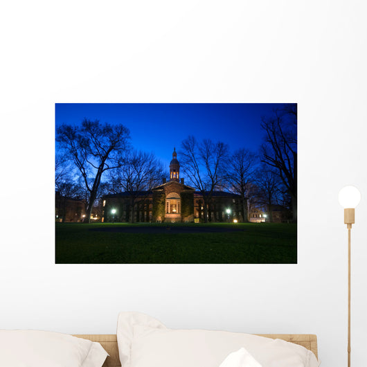 Campus buildings in Princeton University at night Wall Mural