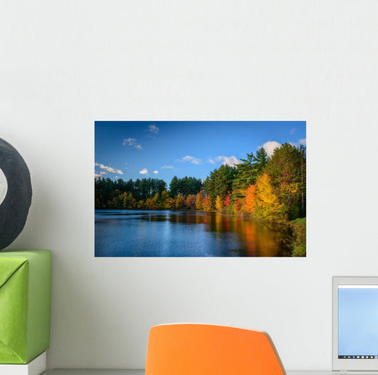Forest Lake Autumn