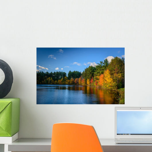 Forest Lake Autumn