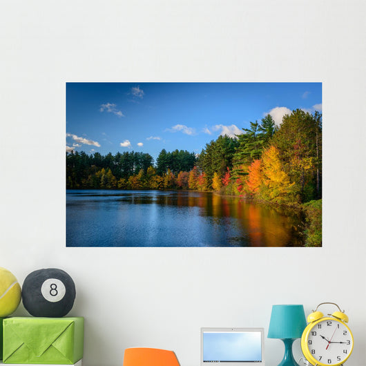 Forest Lake Autumn