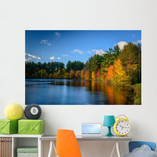 Forest Lake Autumn