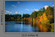 Forest Lake Autumn