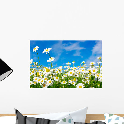White Daisies
