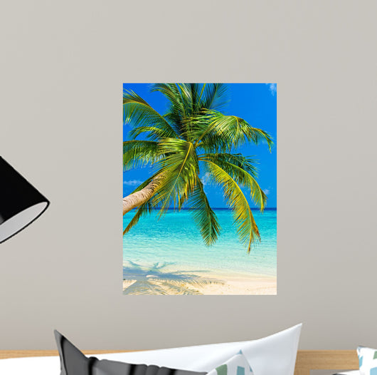 Tropical Beach