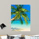 Tropical Beach