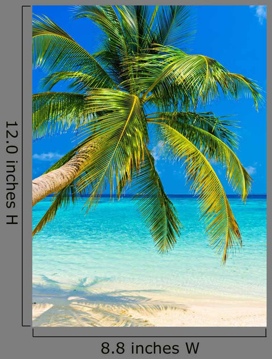Tropical Beach