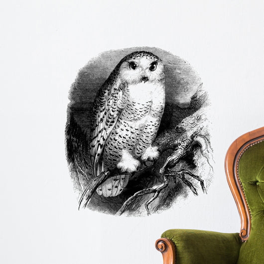 A Bird : Snow Owl (Strix Nyctea) Wall Decal