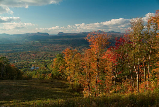 Smugglers Notch from Mt Burke, VT Wall Mural
