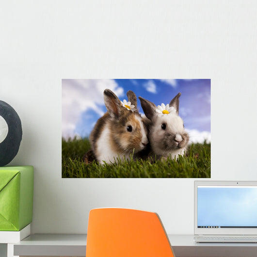 Spring Baby Bunny and